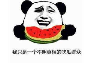 吃瓜在线什么意思